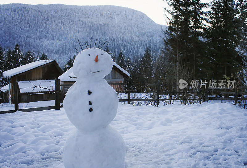 孤独的雪人没有帽子