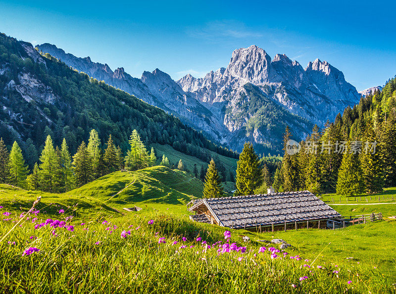 在日落时分，阿尔卑斯山的田园风光和传统的山间小屋