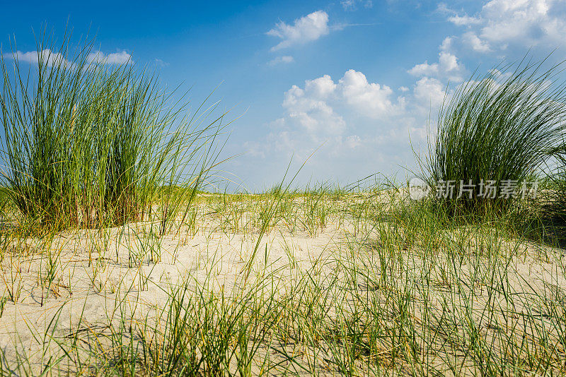 德国北海地区的沙丘和草地