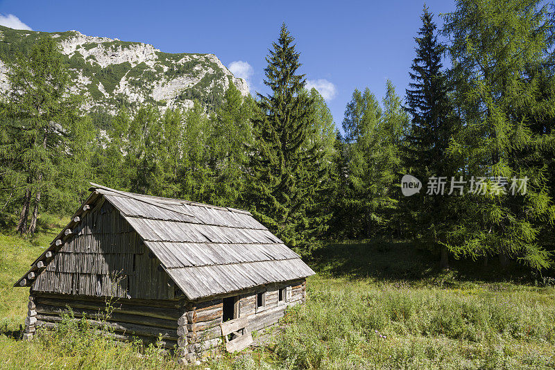 木屋在山上的牧场前的针叶树和罗比杰山下的蓝天