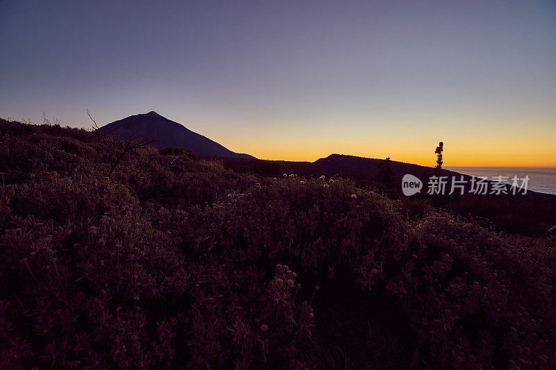 日落时的泰德山