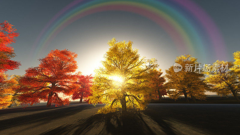 秋天的彩虹