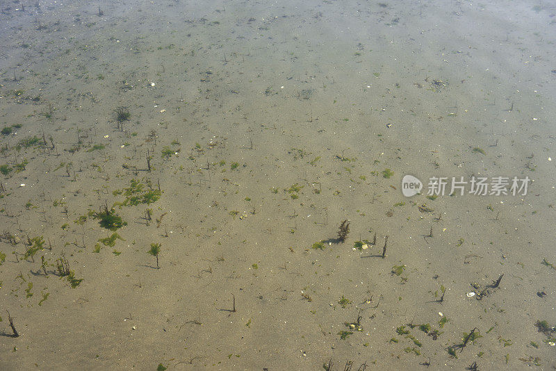 浅海的水面纹理背景