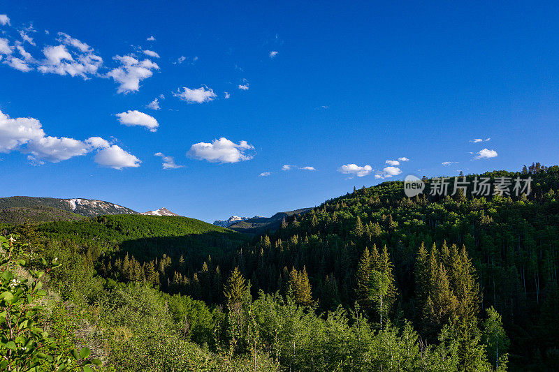 夏季山景湖溪科罗拉多州