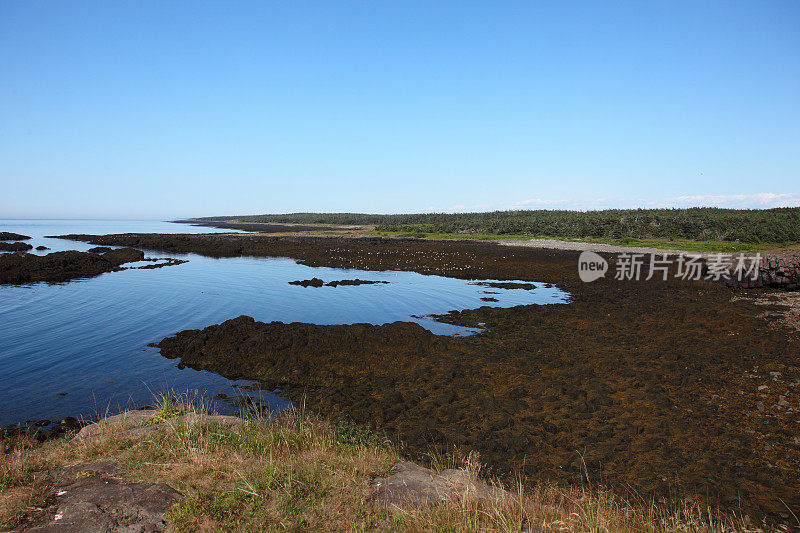 布瑞尔岛，新斯科舍省，加拿大风景在退潮