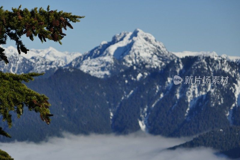 北部荒野