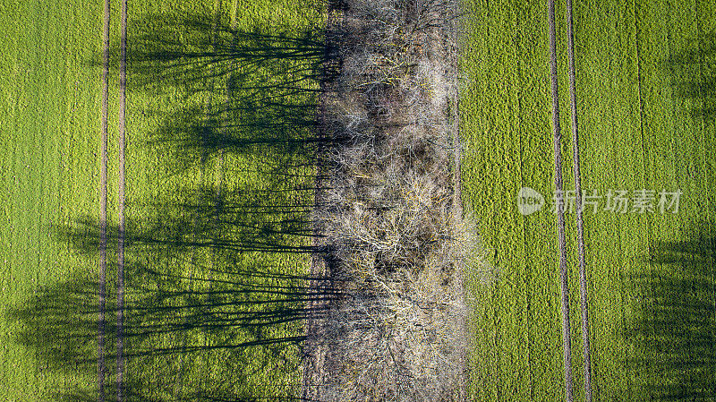 农业区域，田野，阴影和树木-春天的时间