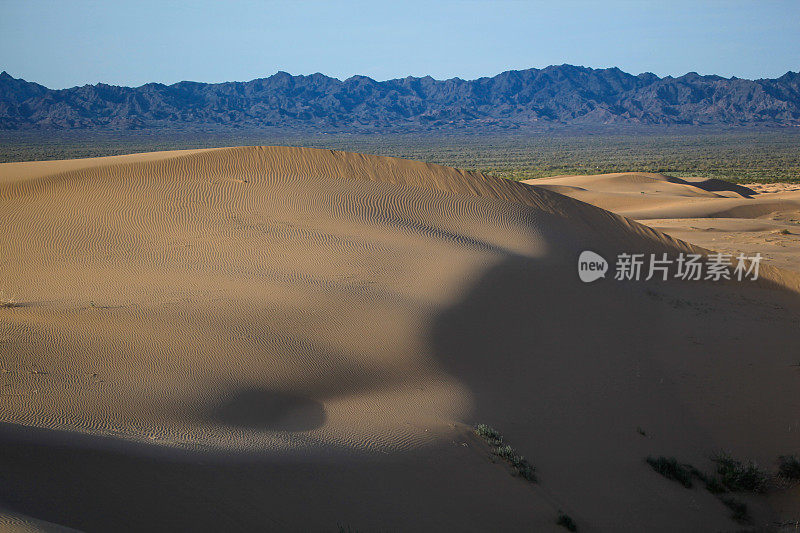 索尔顿海沙漠沙丘