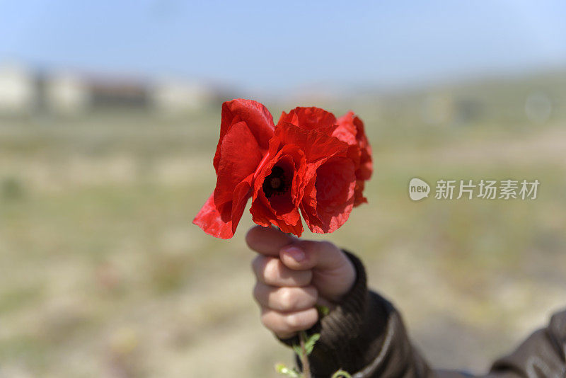 鲜花为你