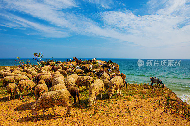 葡萄牙阿尔沃海滩海景图片