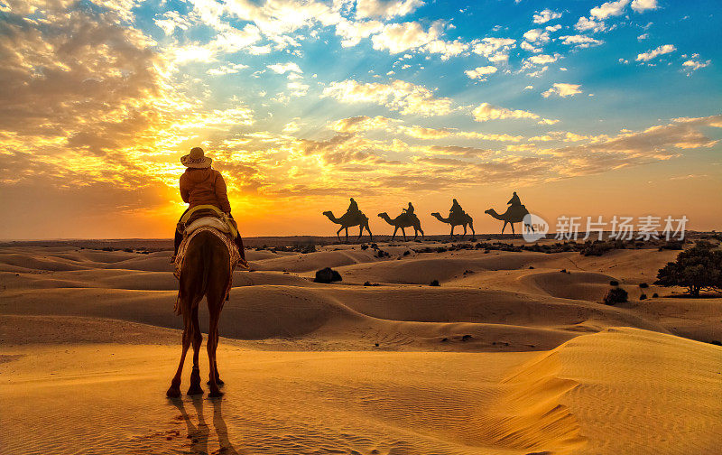 游客喜欢骑骆驼在塔尔沙漠贾伊萨默拉贾斯坦在日落与骆驼商队