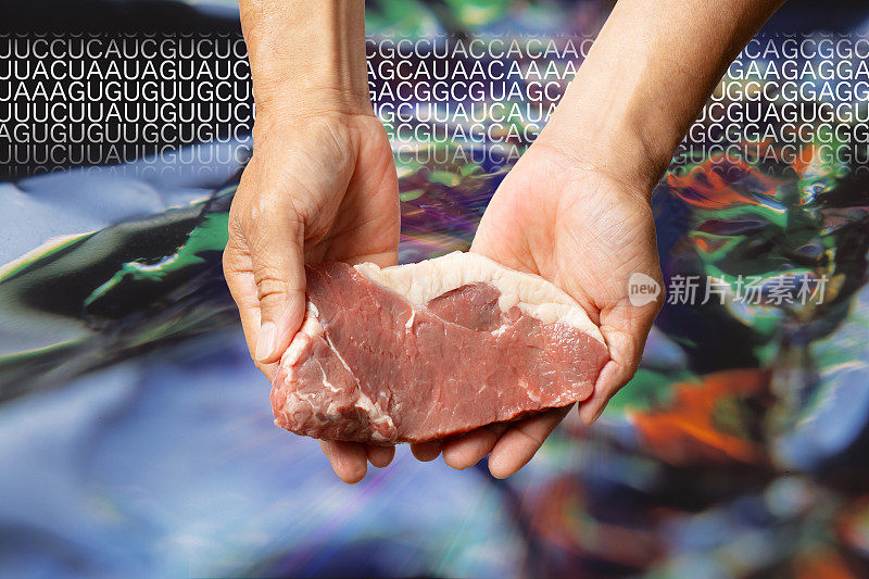 一个人的双手拿着人造牛肉。背景是细胞图像和信使rna编码。