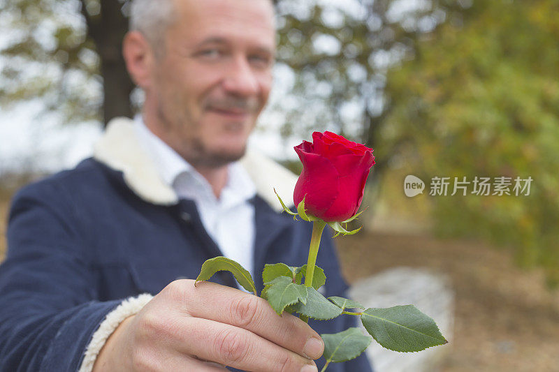 英俊的成年男子在爱情中赠送红玫瑰花