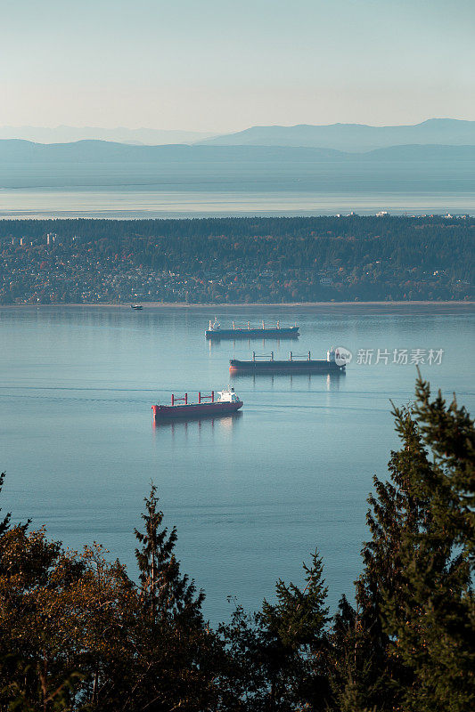 货船停泊在伯拉德湾附近的灰点在温哥华，BC。