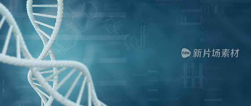 DNA生物生物技术