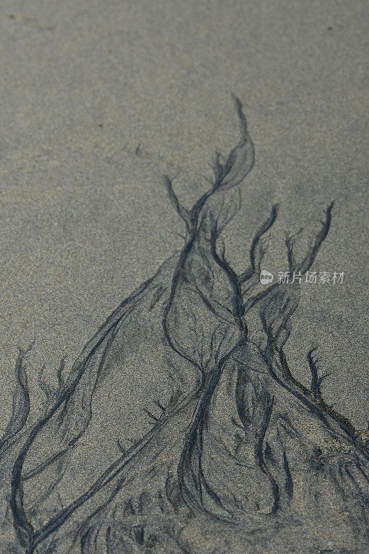 海滩上被侵蚀的米色砂露出下面的火山砂