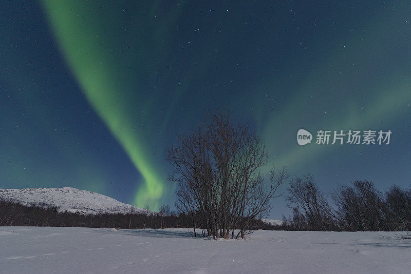 北极光挪威北部夜空中的北极光