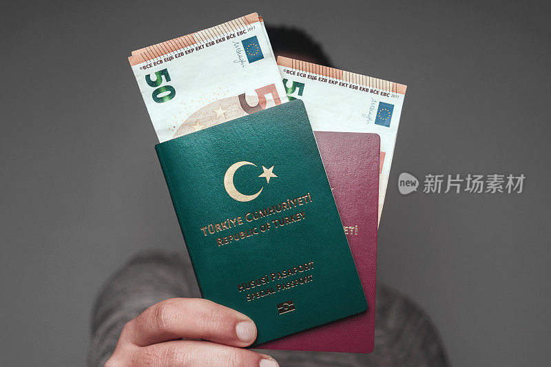 土耳其特别护照和钞票