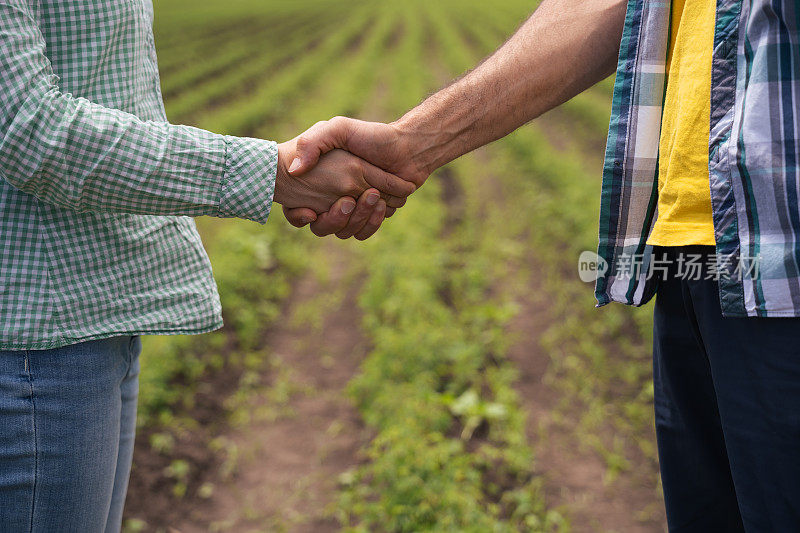 交易开始了。两个农民握手在一个农业领域的背景。达成互惠互利的协议。商务休闲问候握手。