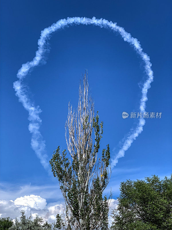 空中杂技飞机留下的蒸汽痕迹，形成了航展上一棵树的框架