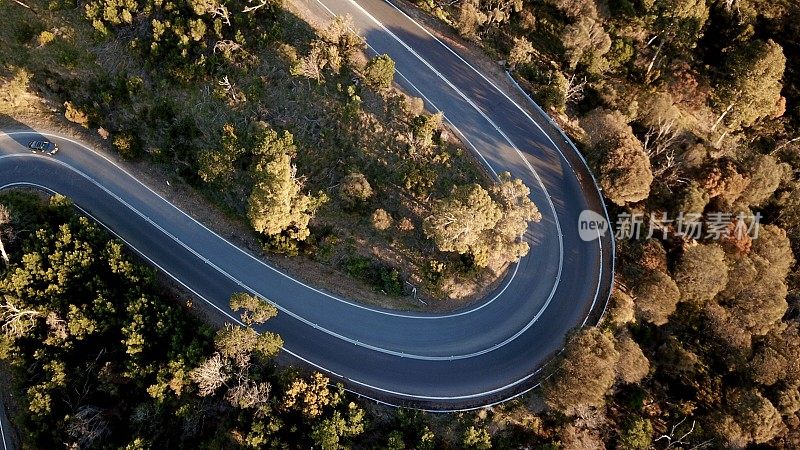 森林中蜿蜒道路