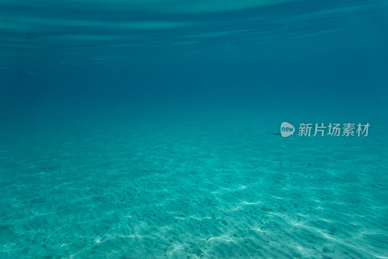 水下海洋风景