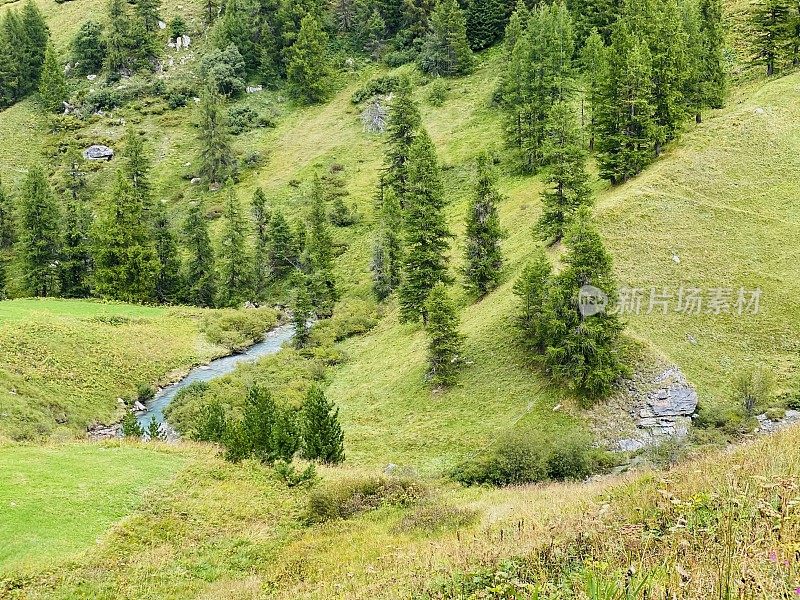 上恩加丁的风景，树木，草地和一条小溪