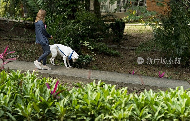 带着拳击犬的女人