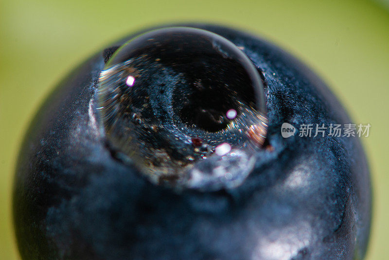 这不是一个有水滴的蓝莓，这是一件眼睛的艺术品