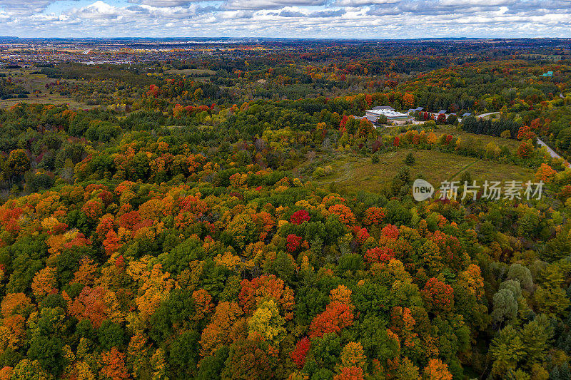 在加拿大安大略省沃恩的伍德布里奇，松树村博士和韦洛尔村社区两侧的彩色树叶