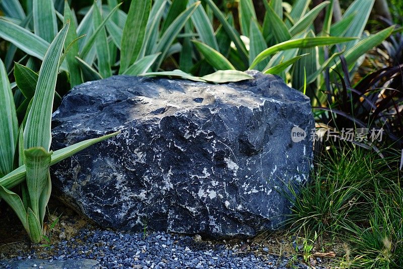 花园里的大石头