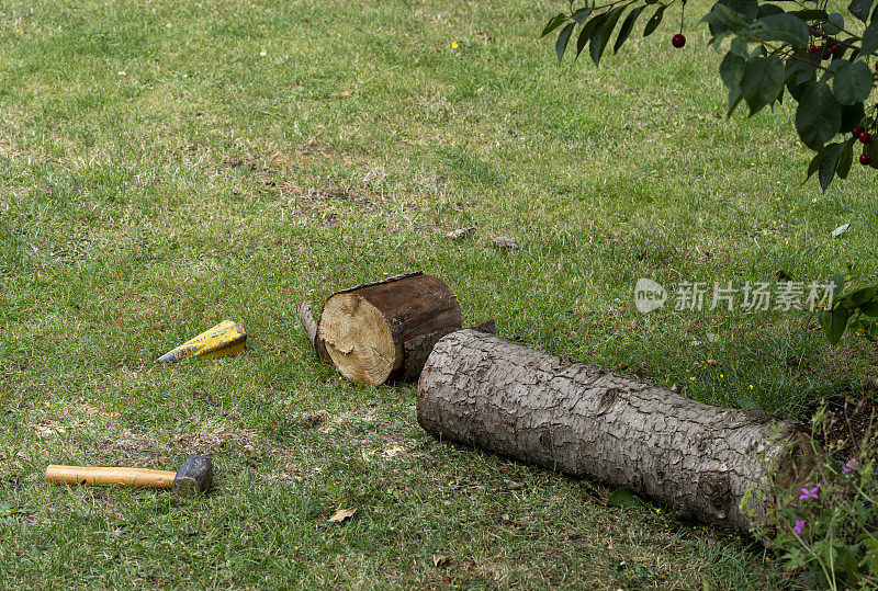 在家用草坪上，用劈柴机和锤子把树干劈成原木