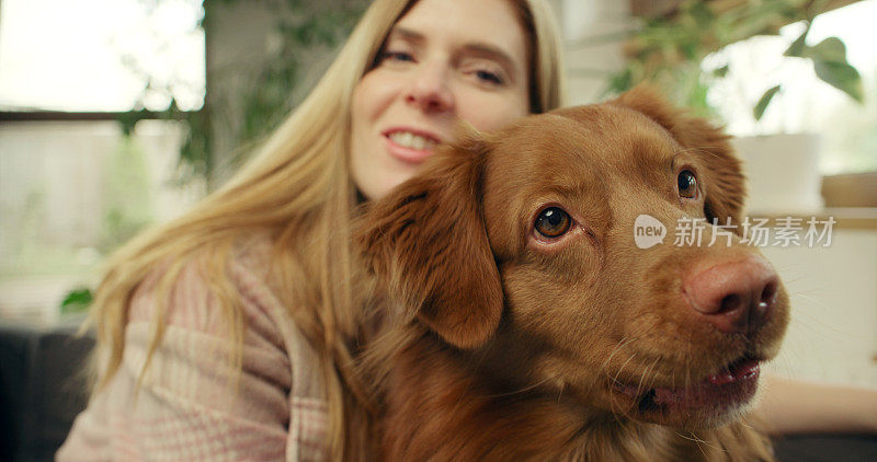 一位女士和心爱的宠物狗新斯科舍省鸭鸣猎犬一起躺在沙发上，愉快地抚摸着它