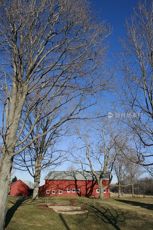 农场在秋天-红色谷仓和无叶树