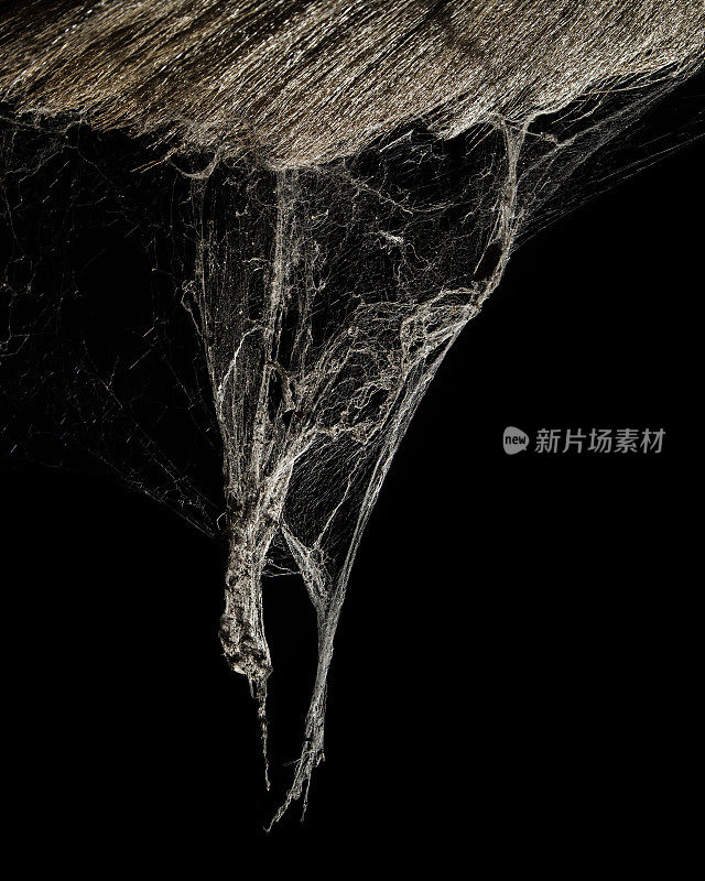 蜘蛛网蜘蛛网在古泰国房子孤立上黑色