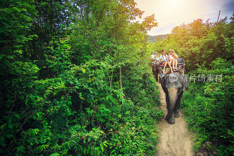 一群游客在泰国骑大象