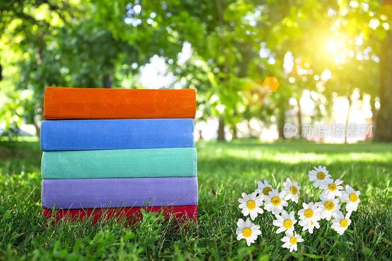 绿色的草地上堆着一堆彩色的书。