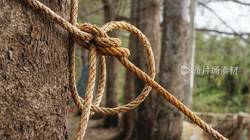 带结的绳子绕在棕色树干上