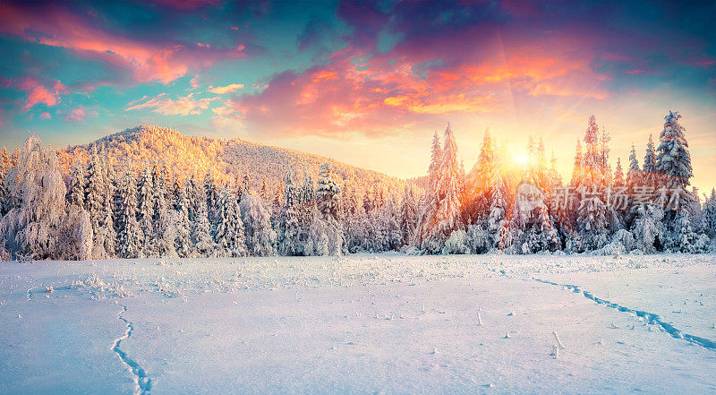 喀尔巴阡山脉五彩缤纷的冬季全景。