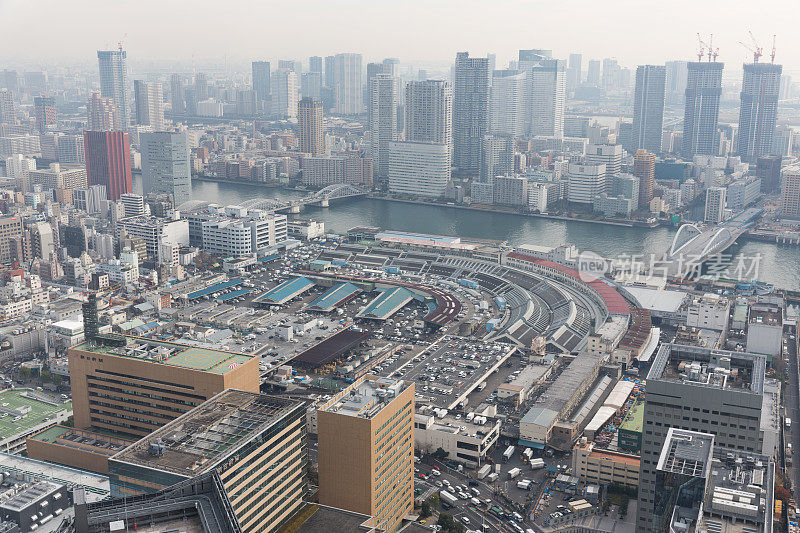 日本东京筑地鱼市的高视角