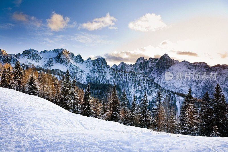 高山上的风景