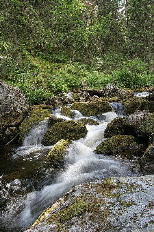 高山流水