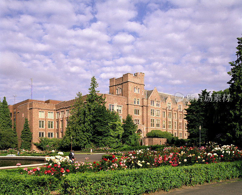 西雅图华盛顿大学约翰逊大厅和玫瑰花园