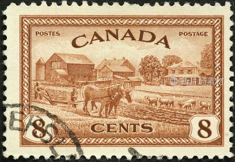 老式的马拉犁和加拿大农场