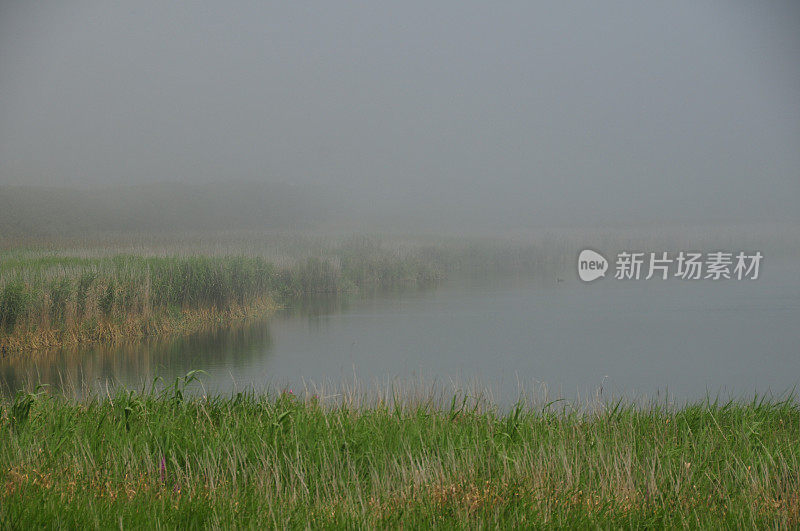 St.Ouen的池塘,英国