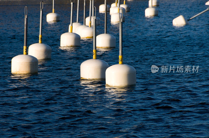 海里有许多浮标