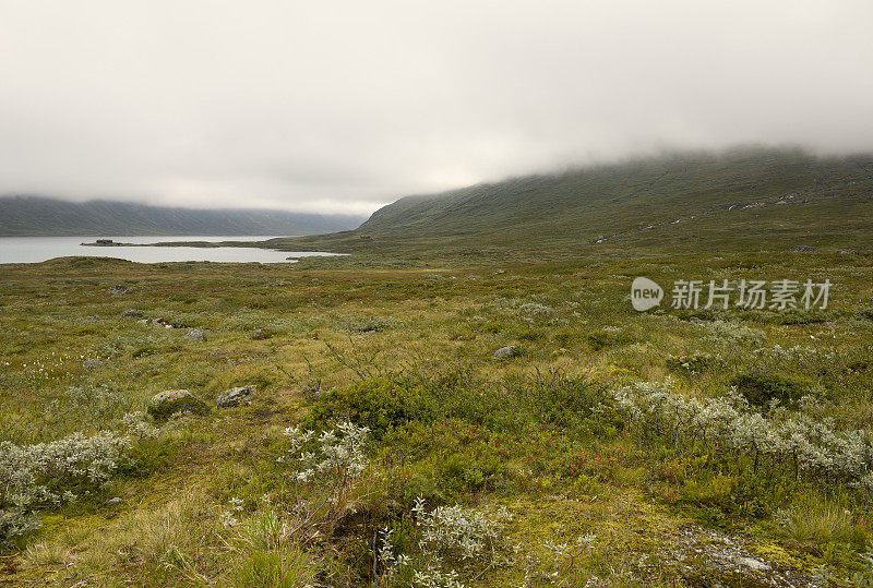 挪威山区一个多雾的夏日清晨