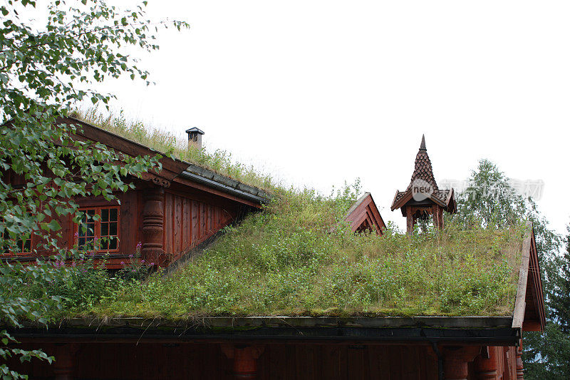 带草皮屋顶的木制假日小屋