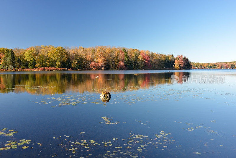 宾夕法尼亚州许诺土地州立公园的秋天