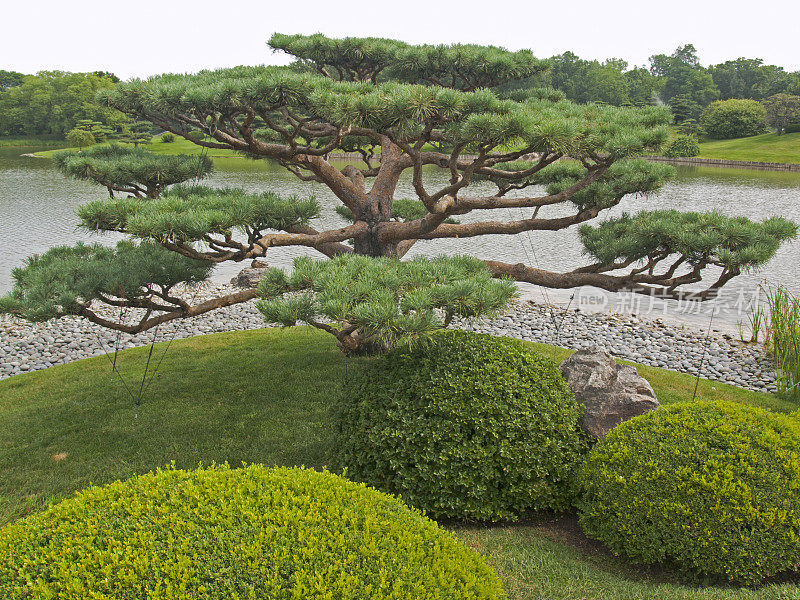 日式景观